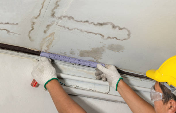 Reliable Water Damage contractor in Maybee, MI by Water Damage Irwin